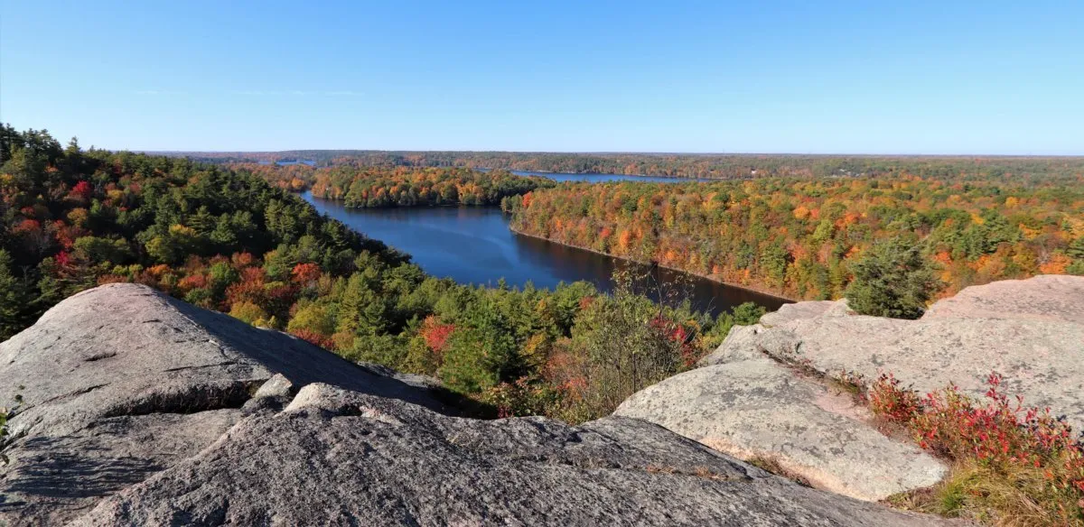 Gatineau Park